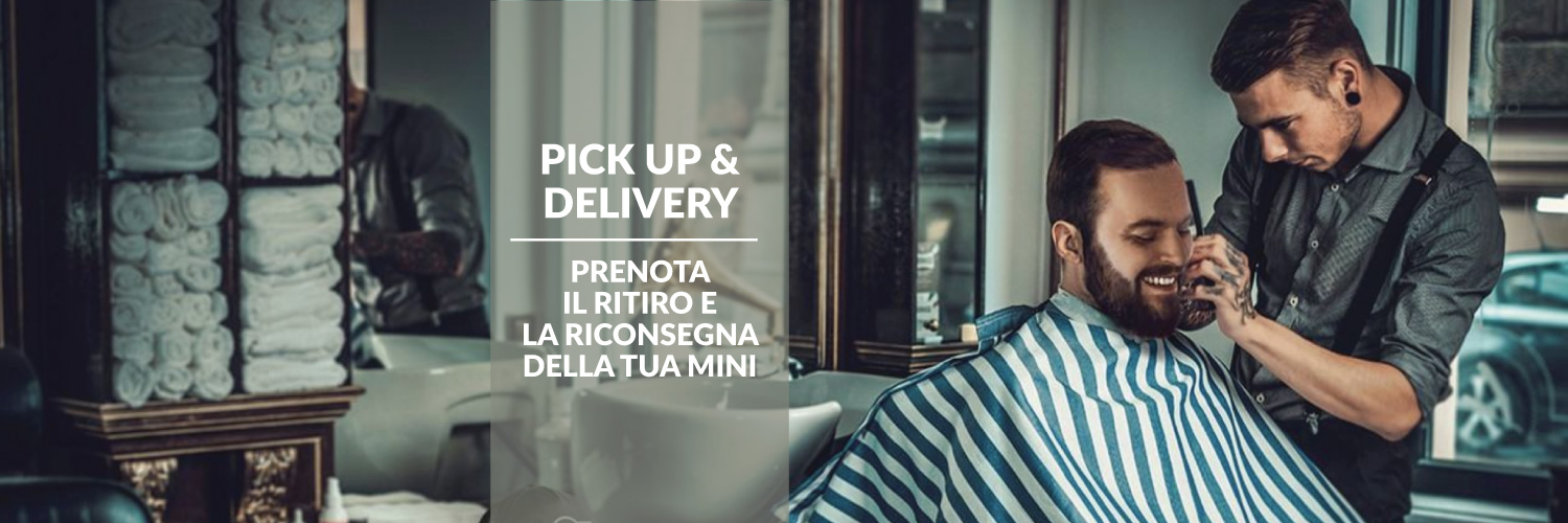 PICK-UP-AND-DELIVERY-MINI